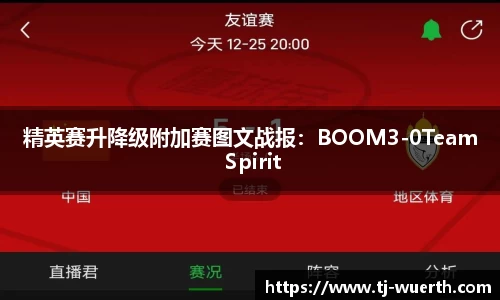 精英赛升降级附加赛图文战报：BOOM3-0Team Spirit