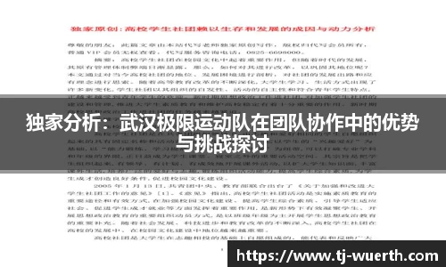 独家分析：武汉极限运动队在团队协作中的优势与挑战探讨