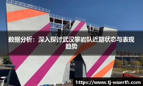 数据分析：深入探讨武汉攀岩队近期状态与表现趋势